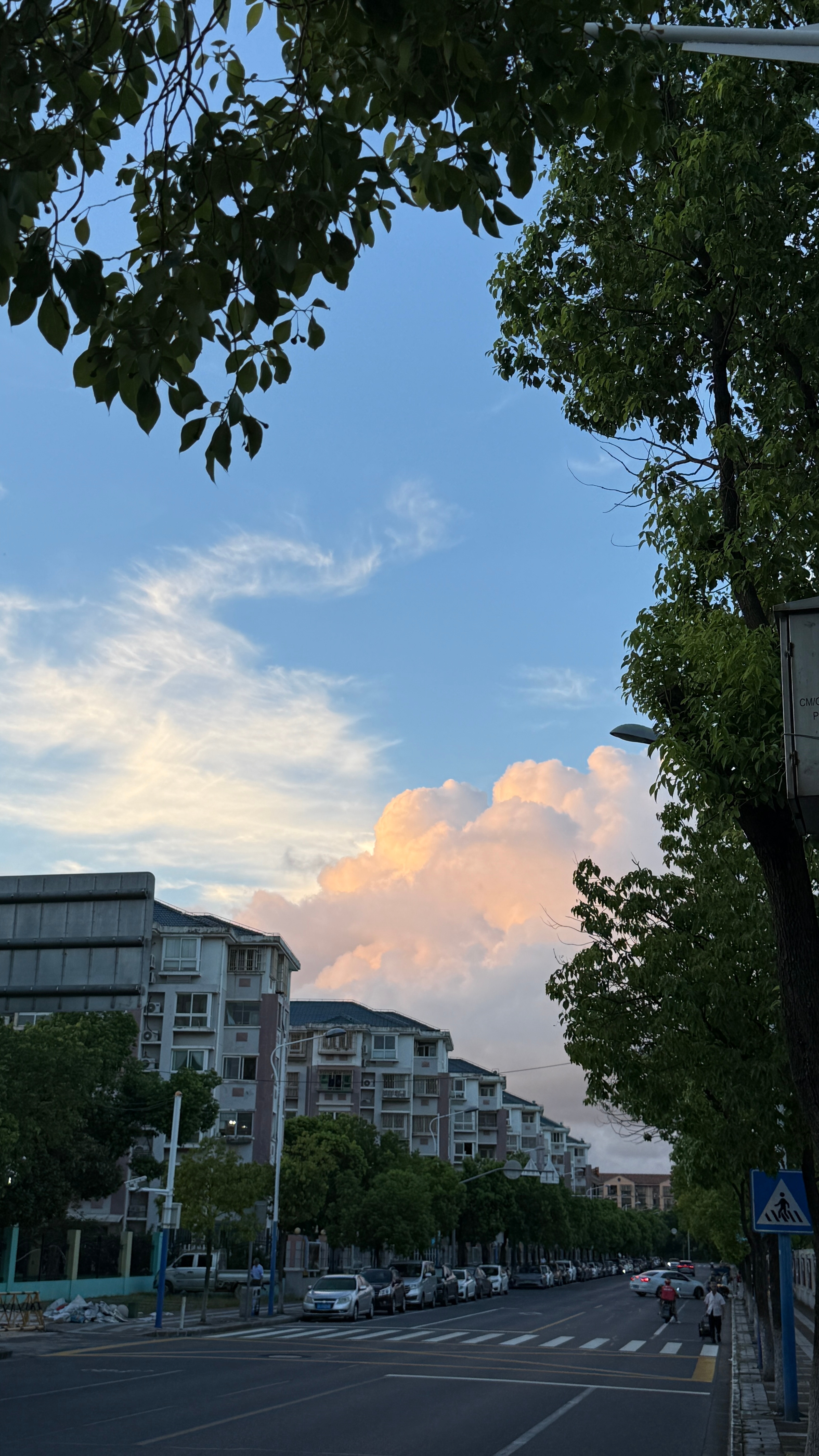 七夕快乐 