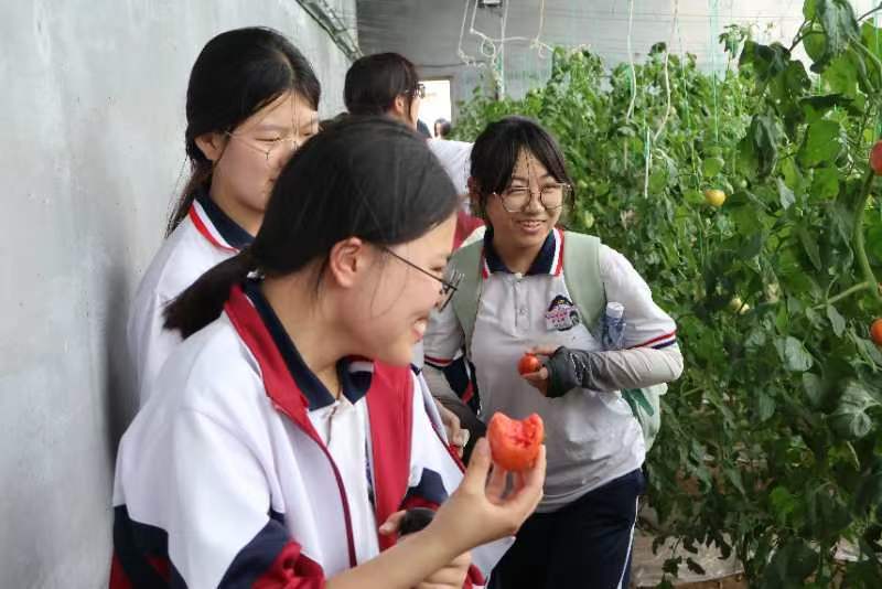 【啊？你还真吃啊～】#公众科学日# 变身吃播现场。这可不是普普通通的番茄，这是地