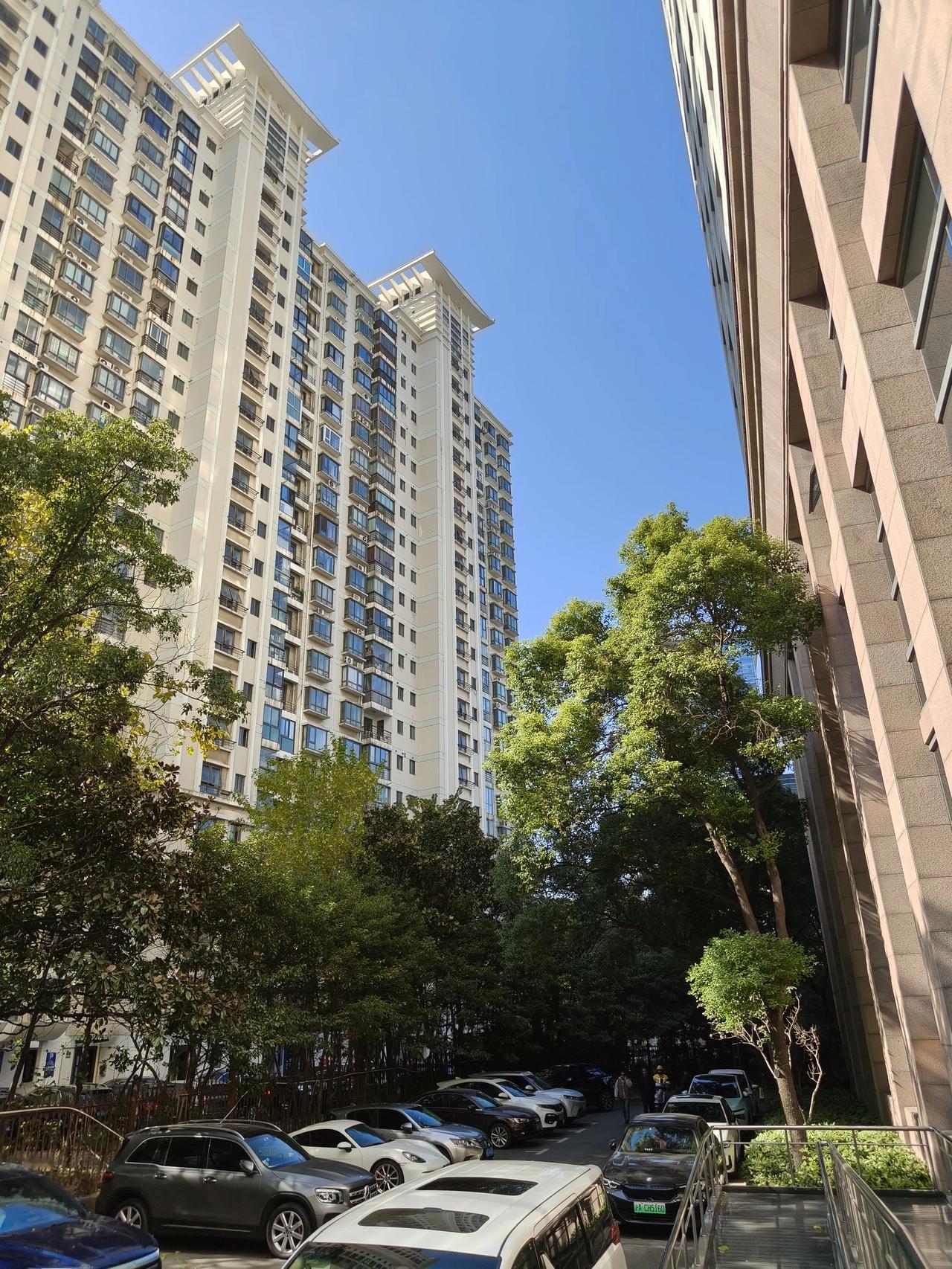 冬日午间随手拍实景图分享！

今天有点降温了！[加油]