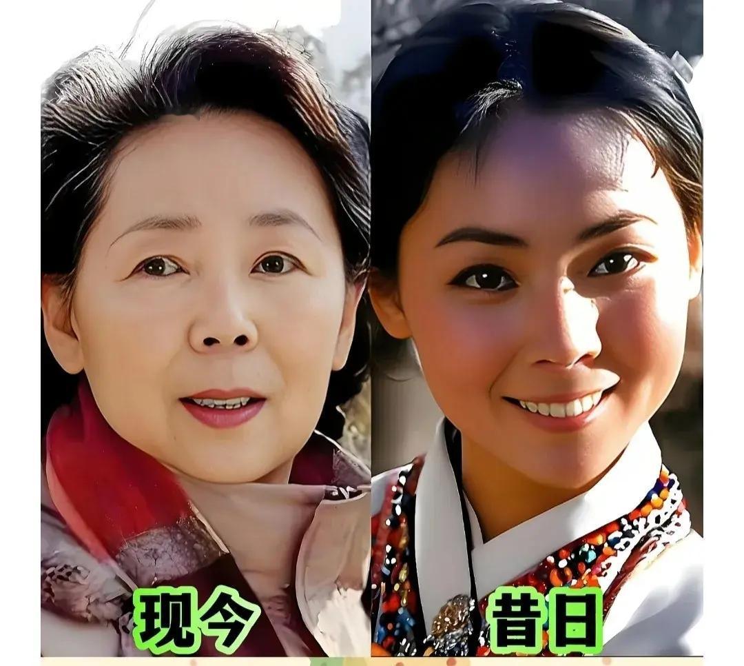  当年银幕上的美人，如今已是耄耋老人，优雅不减。
刘尚娴、王晓棠、师伟、陶玉玲，