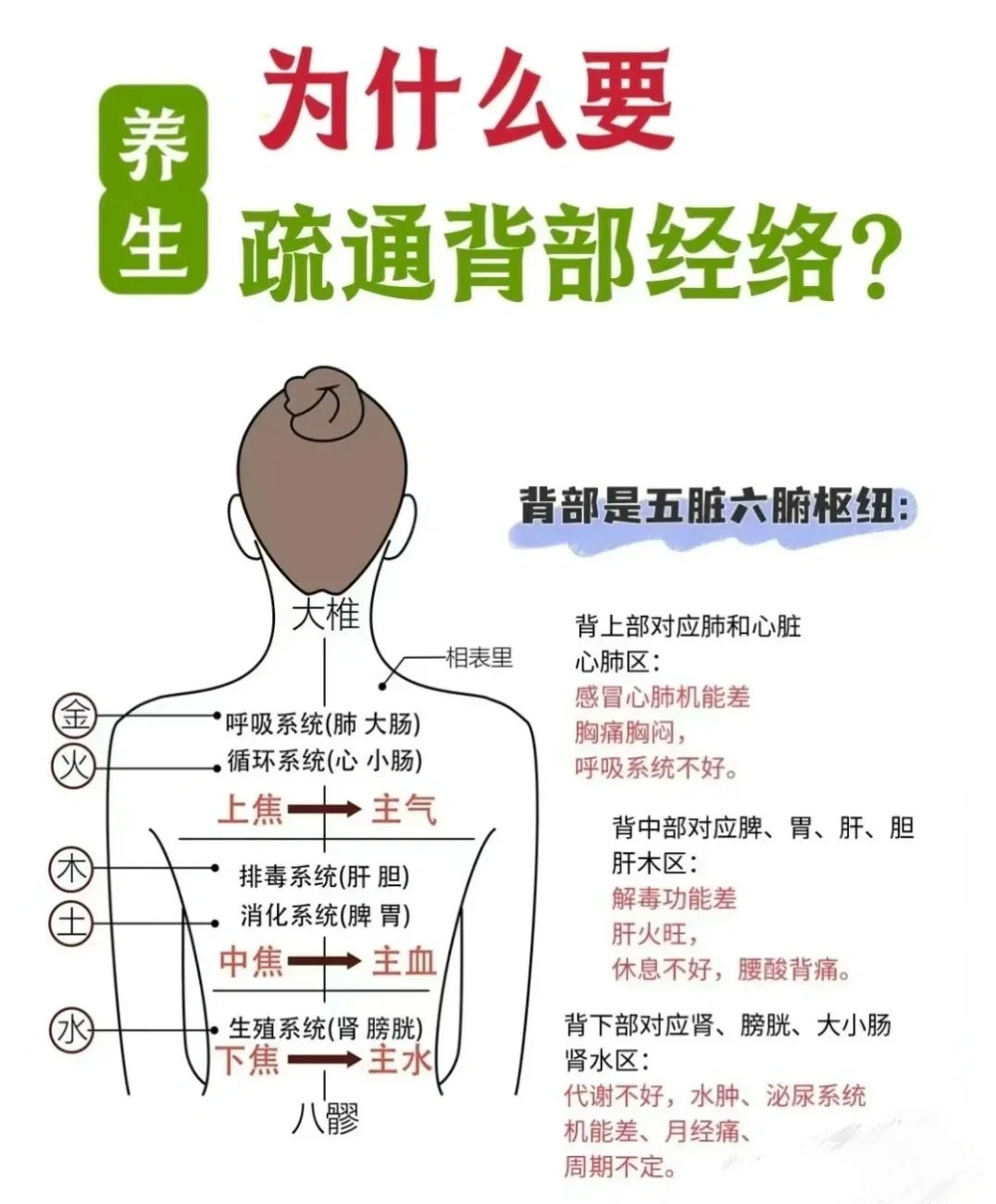 经络疏通 背部按摩 今日份今日发 保持更新