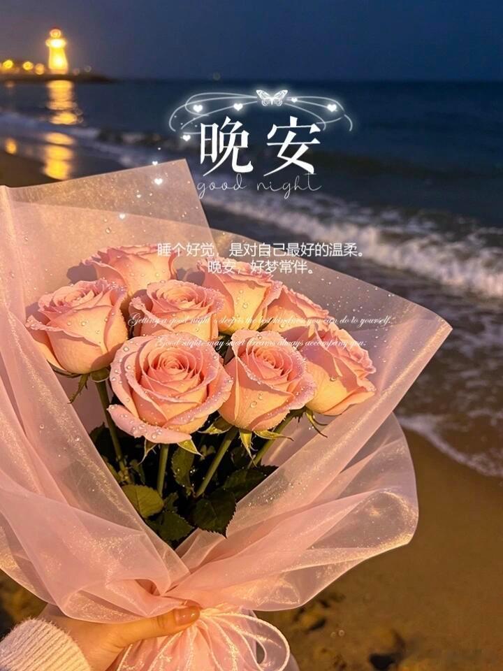 晚安 夜色缓缓漫过街巷，白日里奔波的脚步终于可以放缓。不必追赶世俗的节奏，也不必