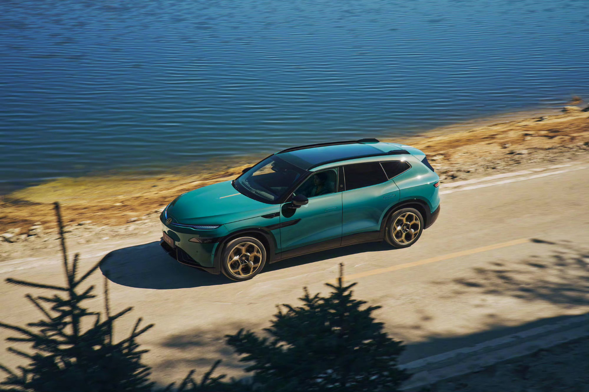 标配1500TOPS金标大众太顶了金标大众要么不出手，一出手就来个顶配算力加持，