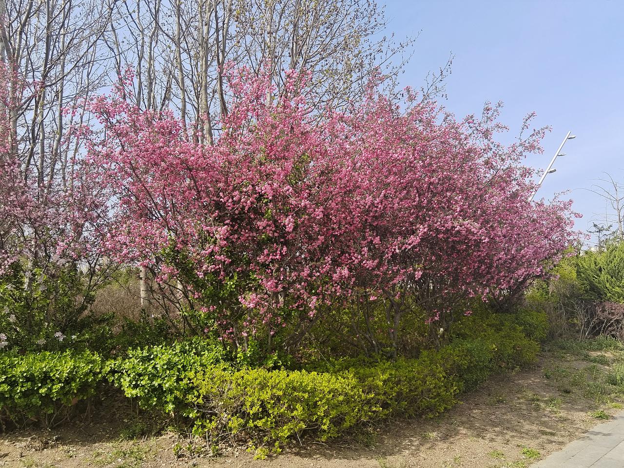 生活记录美好瞬间！