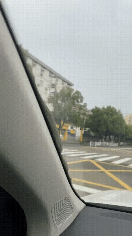 这真能把人吓死！浙江杭州，一男子早上开车时，突然一条一米多长的大蛇“从天而降”掉