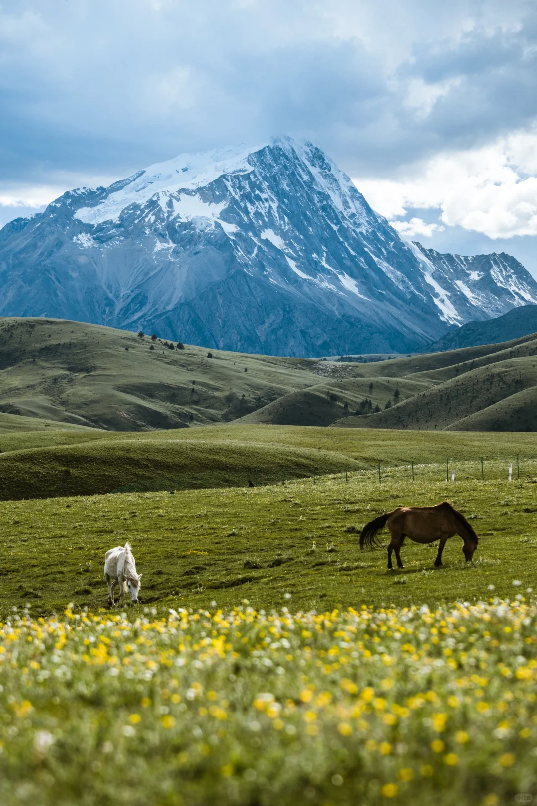 不是什么小新疆，这里是川西格聂🏔️