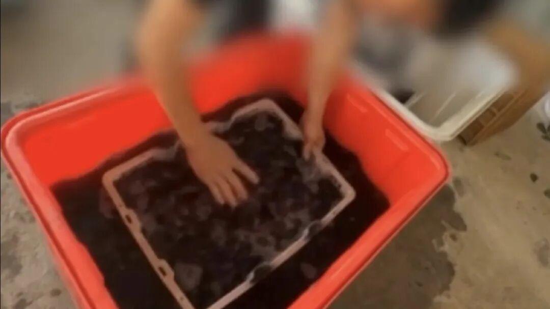 果农们少说点吧这两天，关注药水杨梅的人，一直听到果农们的“叫屈”。前有杨梅协会会