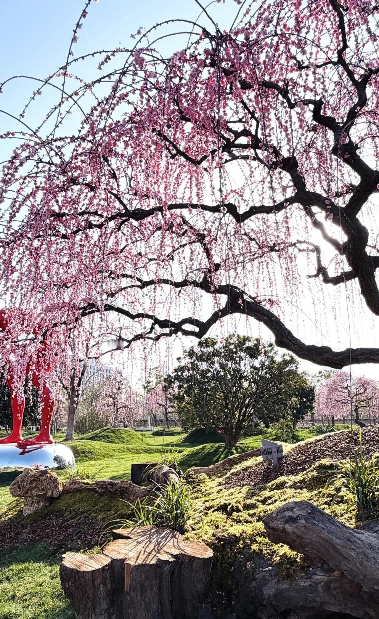 续保的电话来了。

4S店的小伙子声音热情：姐，还是咱这儿续吧，送两面油漆、一次