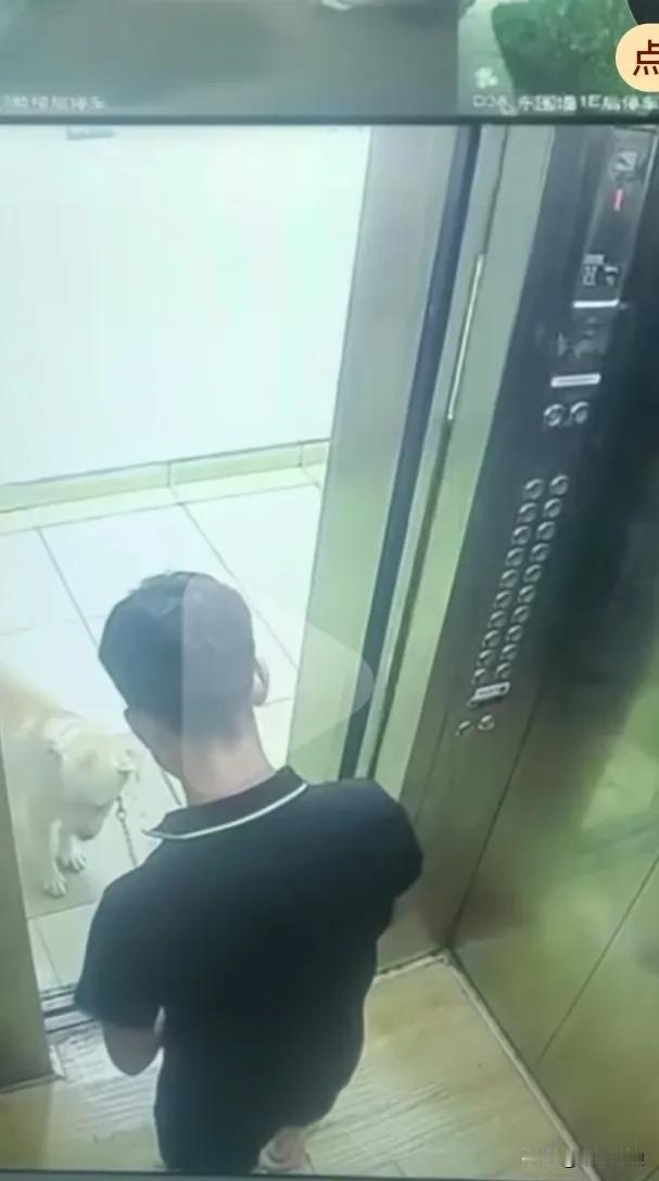 在监控下一名男子严重虐待狗狗，他牵着一条狗狗上电梯，狗狗跟着他一起进去，他后把它