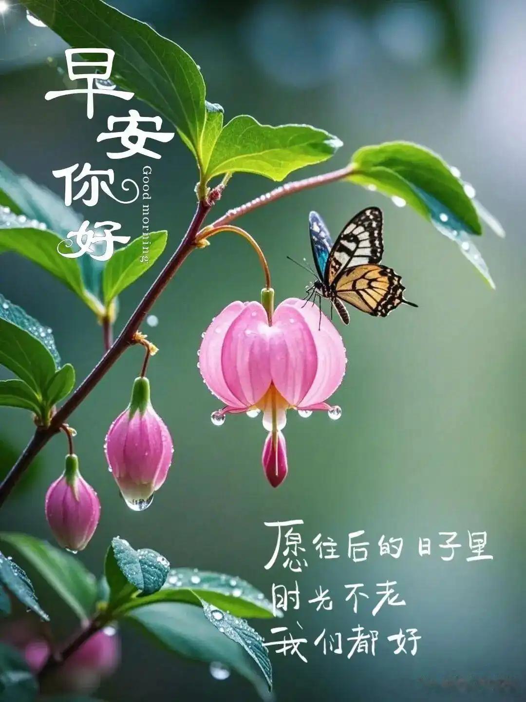 小运播报：2026年4月16日，星期四，农历二月廿九 (丙午年壬辰月庚申日)，法