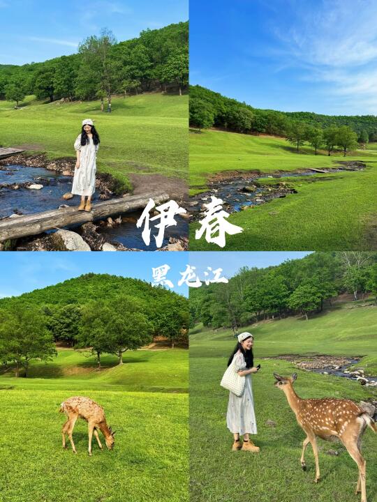 伊春｜东北人有自己的“小阿勒泰”！🦌
