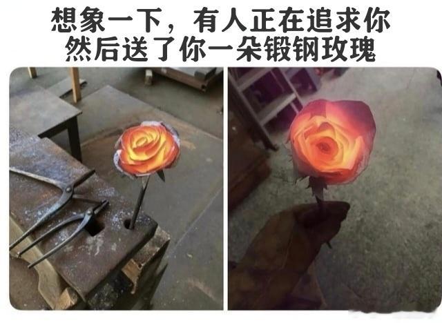 风雨彩虹 铿锵玫瑰🎶 