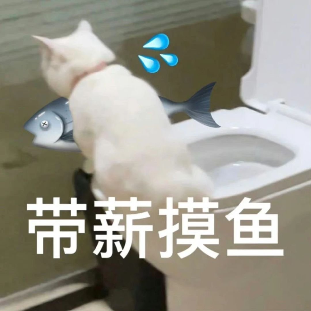 丰富一下表情包 ​​​