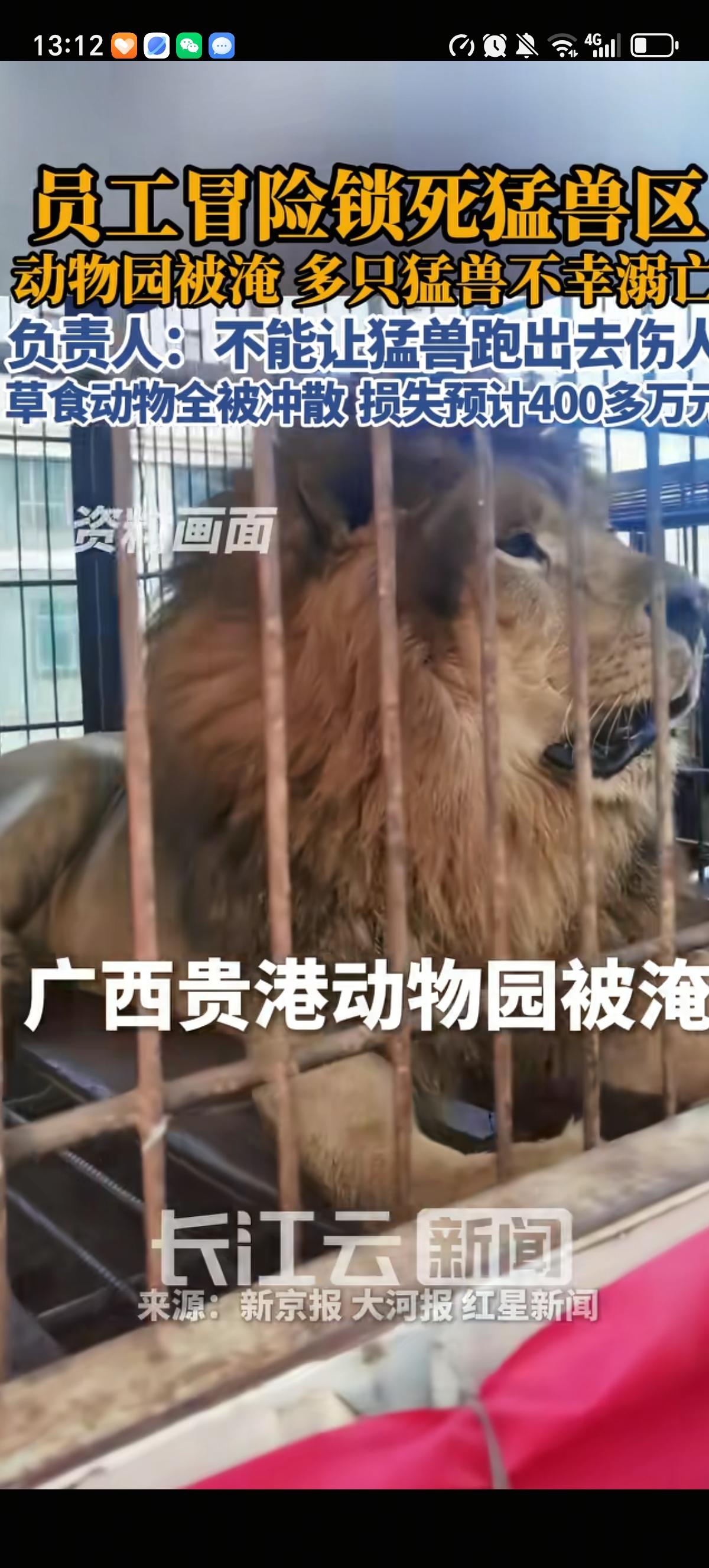 这次广西贵港动物园损失是最大的了吧，动物园被淹之前把猛兽都锁死在园内了，猛兽有4