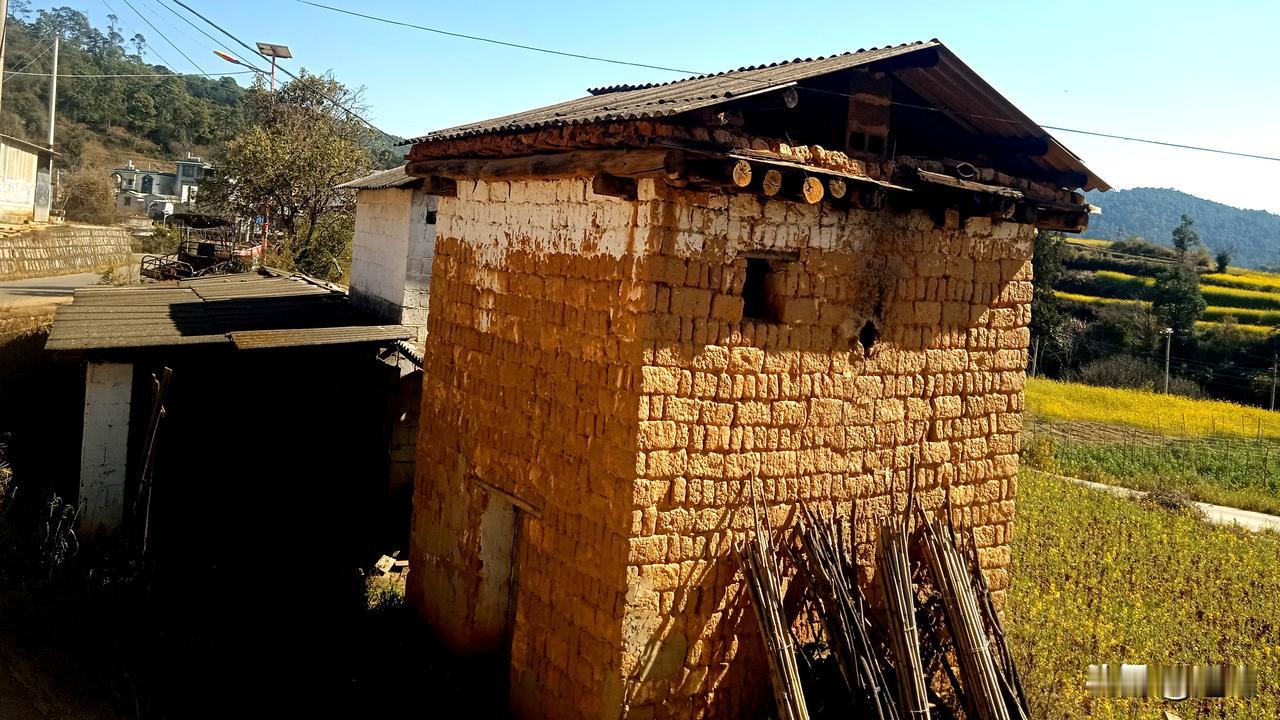8O年代，村里种奌玉米，水稻外，还种奌田地烟。那时候，村里人种烟方式简单，种烟收