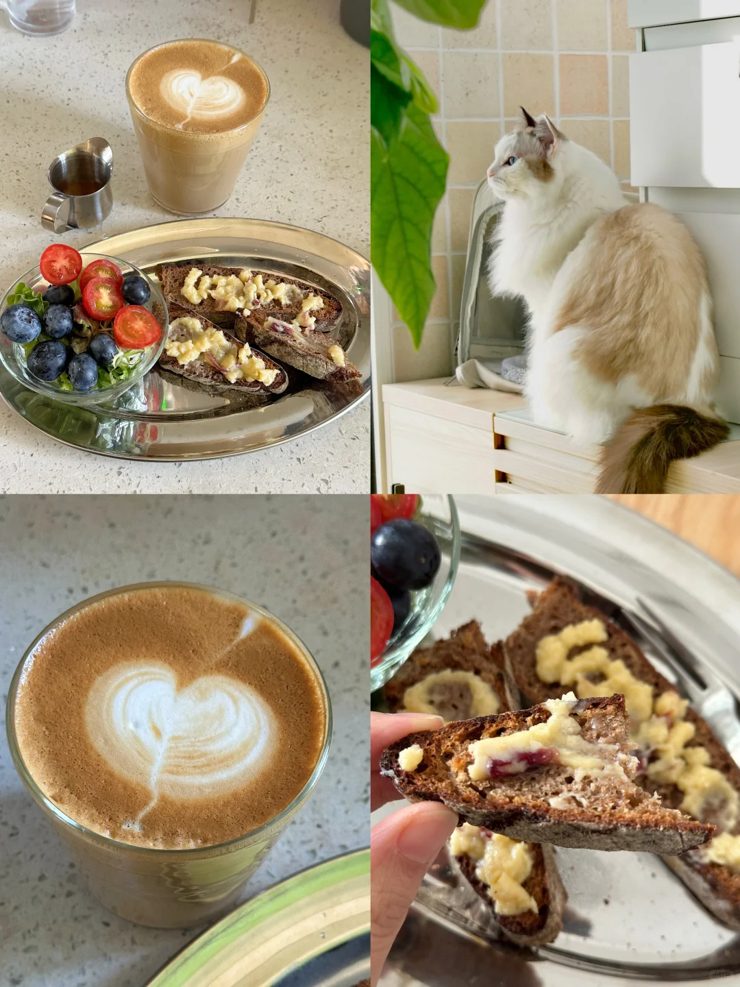 今天早餐～在家消耗我的学习作业（面包）