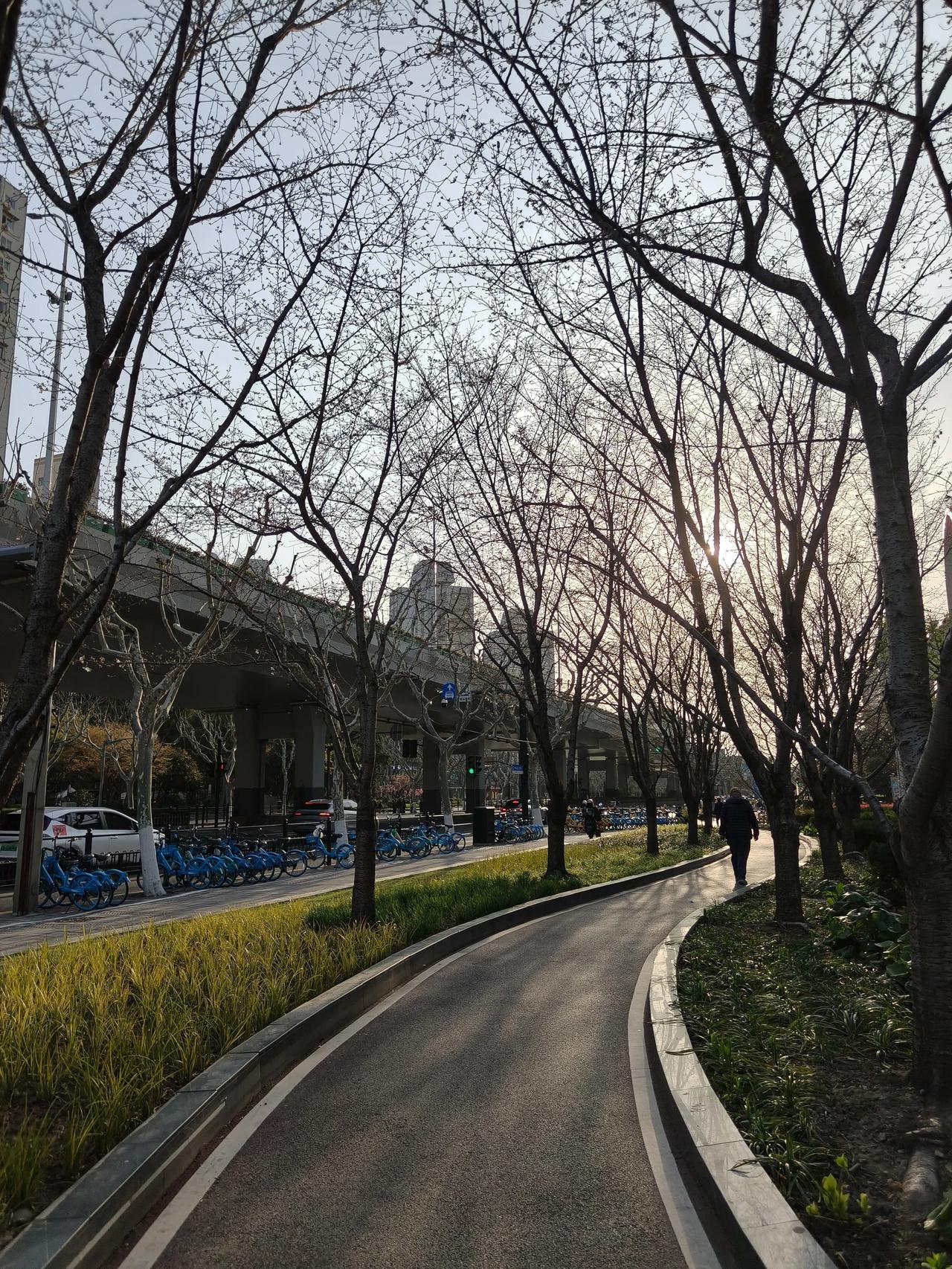 老年大学正从传统的“养老”娱乐场所，向一个满足老年人“享老”精神需求、赋能个人发