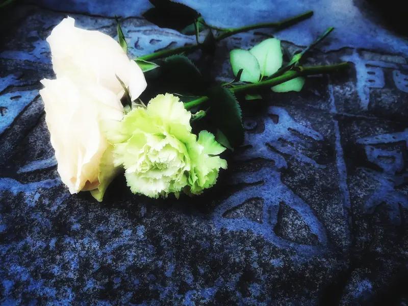 谷谷说得妙，清明，宛如深深刻在中国人骨子里的印记。每到这个时节，一家人便会齐聚一