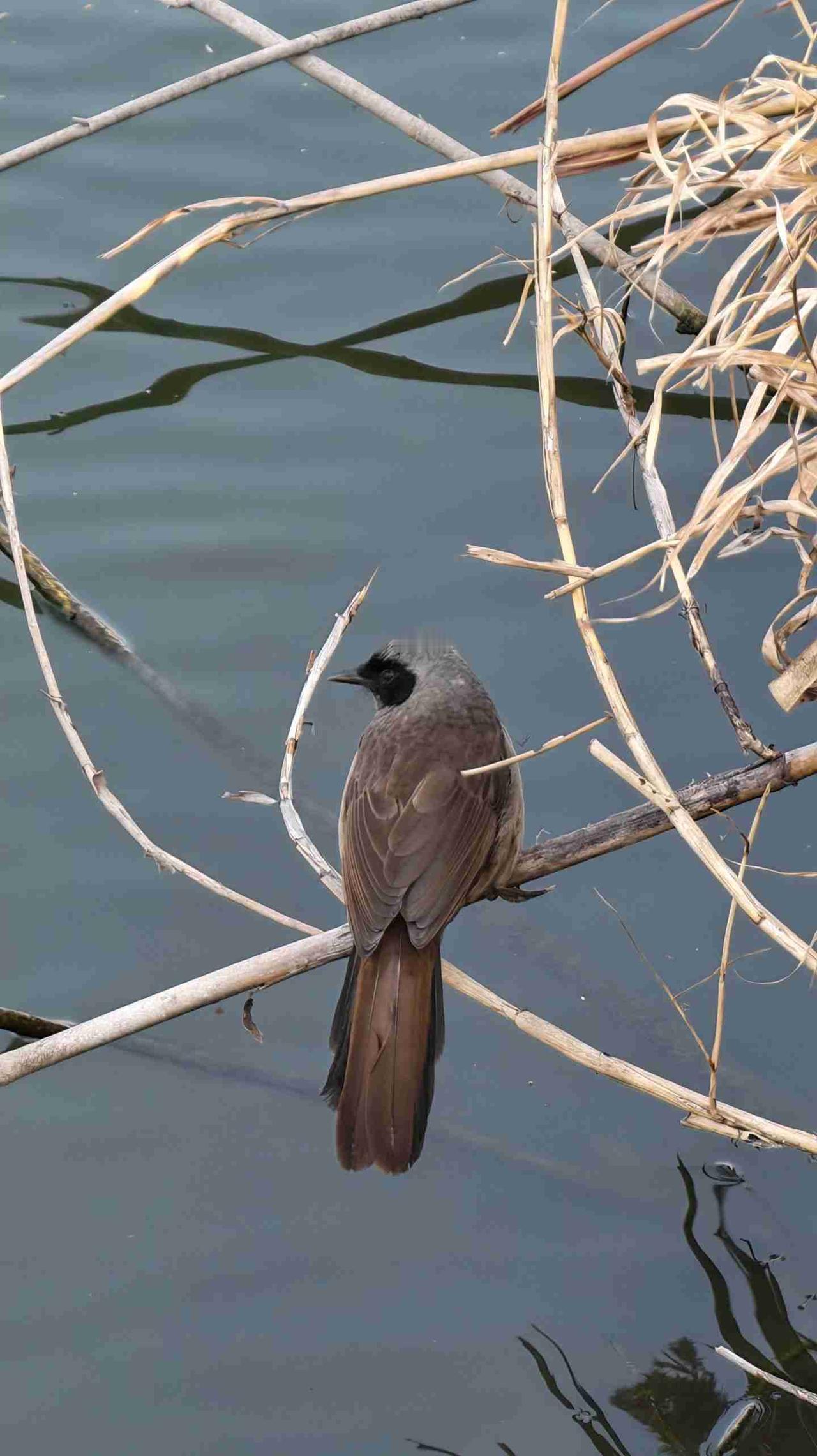 我的今日状态：😁轻松愉快
我这里的天气：☀️晴天