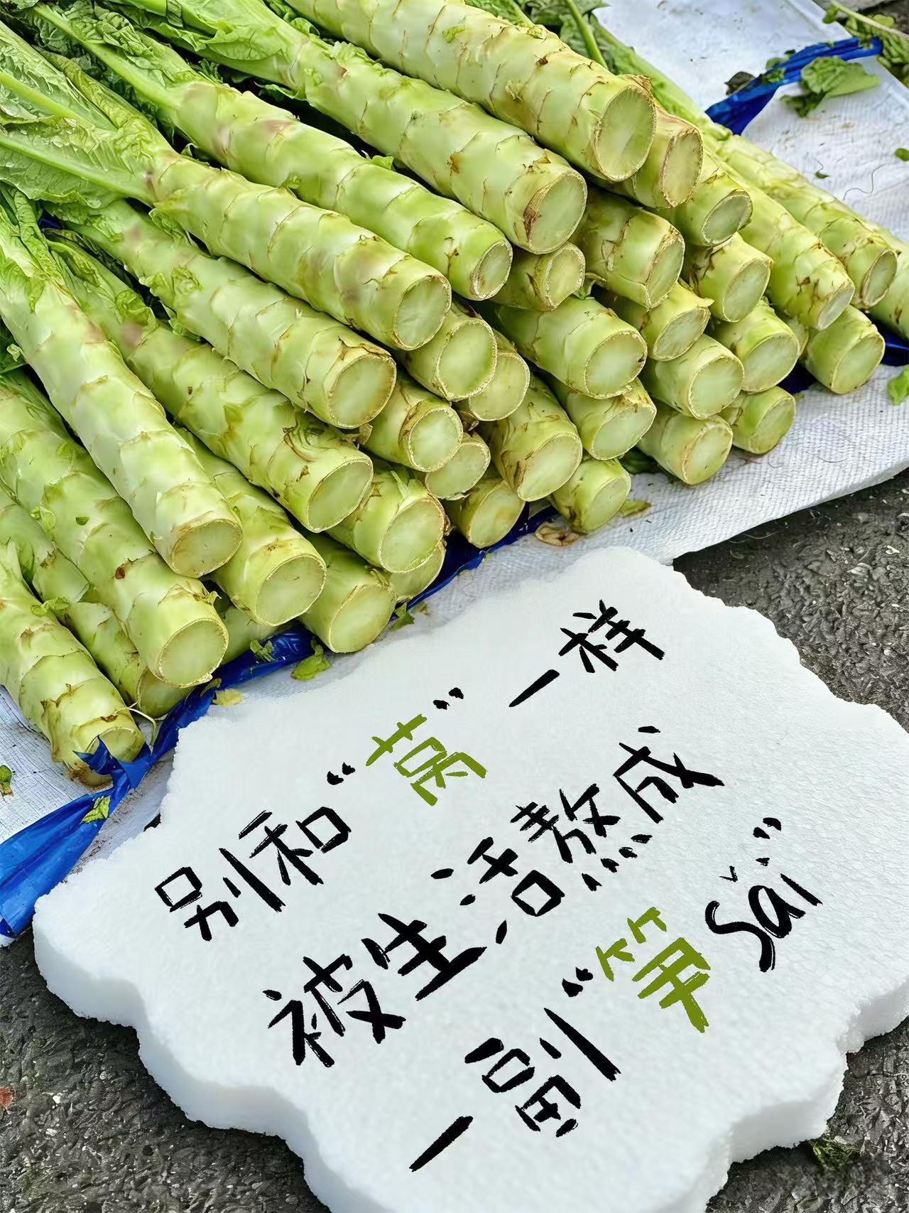 春天菜市场文学要不要来两斤？ 