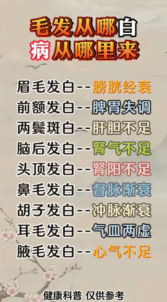 白发长在哪，对应身体哪虚