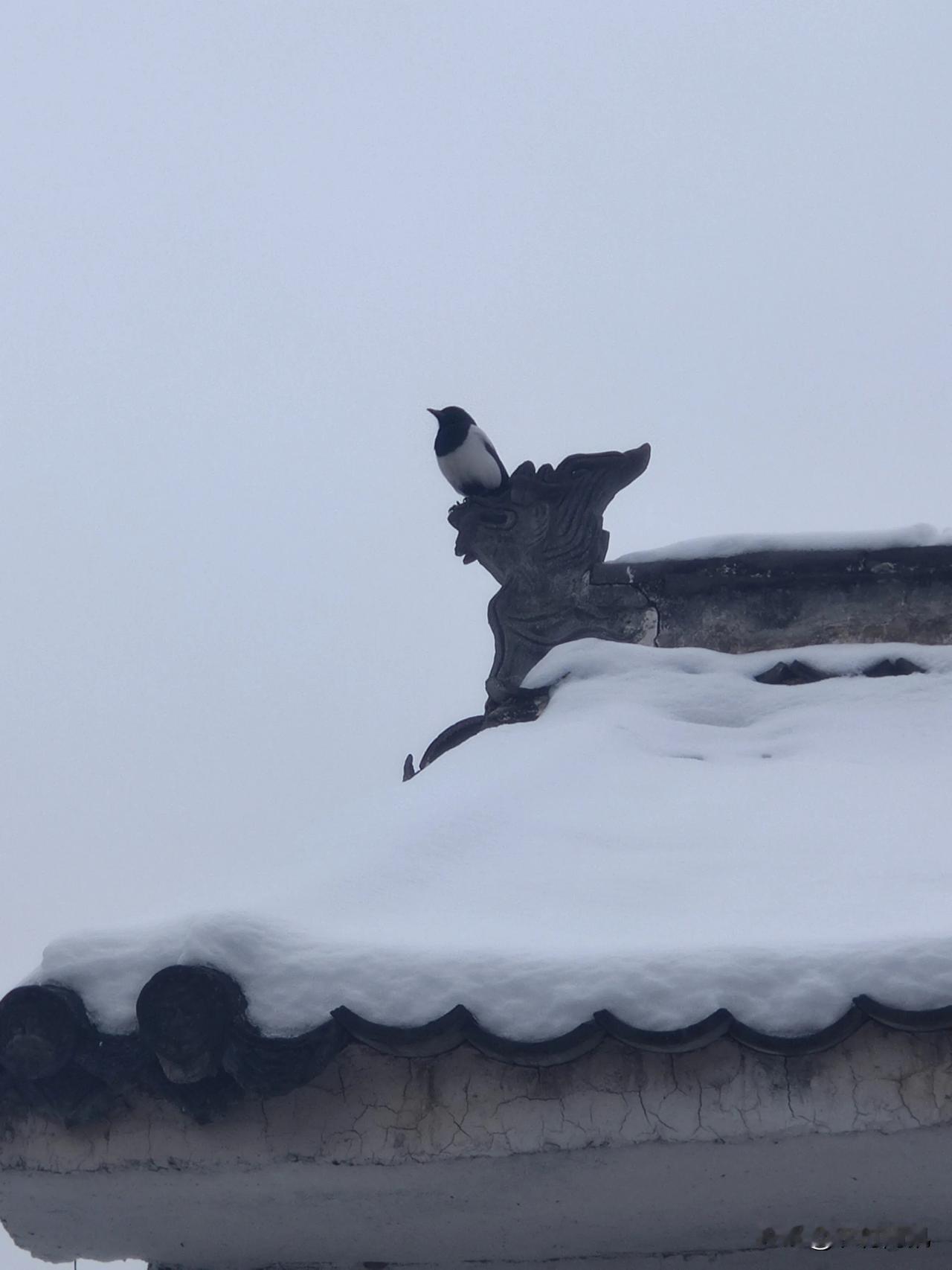 用一首诗来形容此景，大家展示才艺吧