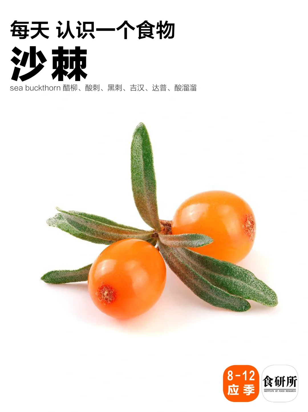 沙棘❗补充VC的神❗