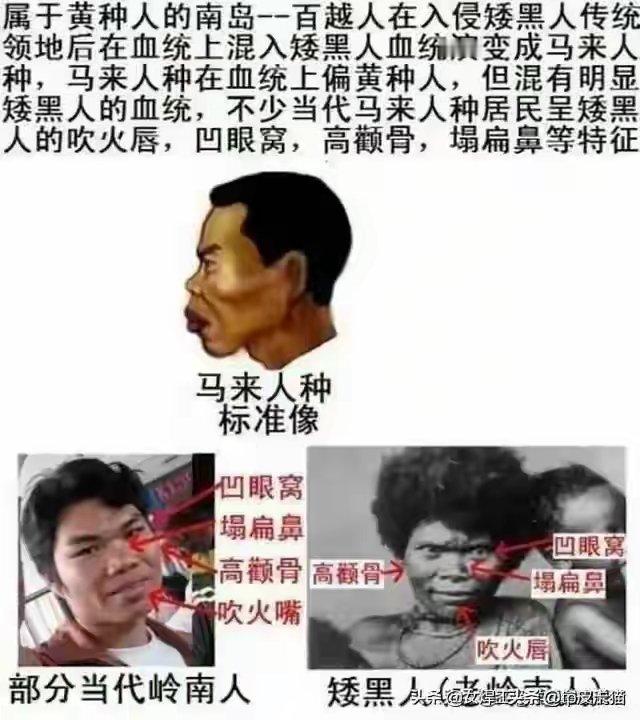 终于知道岭南球迷的来源了！ 