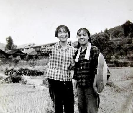 1977年，女知青李雪梅准备参加高考，却被丈夫偷喂了安眠药，最后错过了考试。李雪
