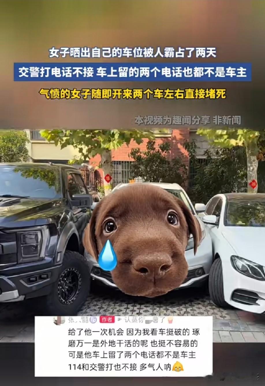 硬核[赞]
不过这左右两辆车，不也把别人车位占了？更好的方法是在车前车后弄两个巨