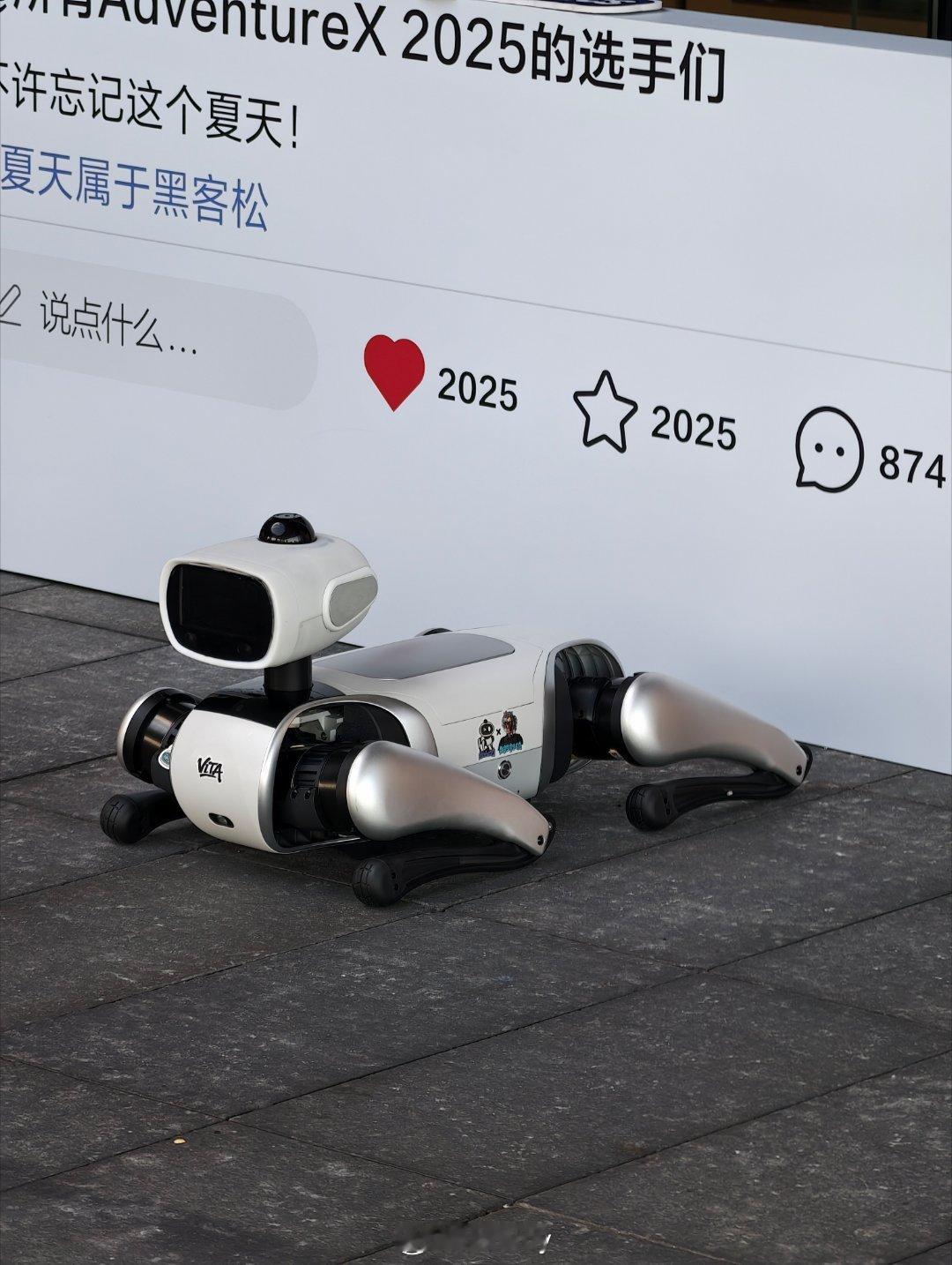 偶遇维他动力的机器狗[馋嘴]。 ​​​
