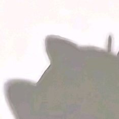 每日一善[超话]💚每日一善 我们在看到别人光芒万丈的同时，也要相信自我奋斗的力