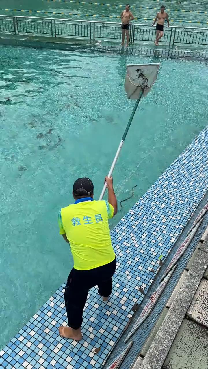哈哈。