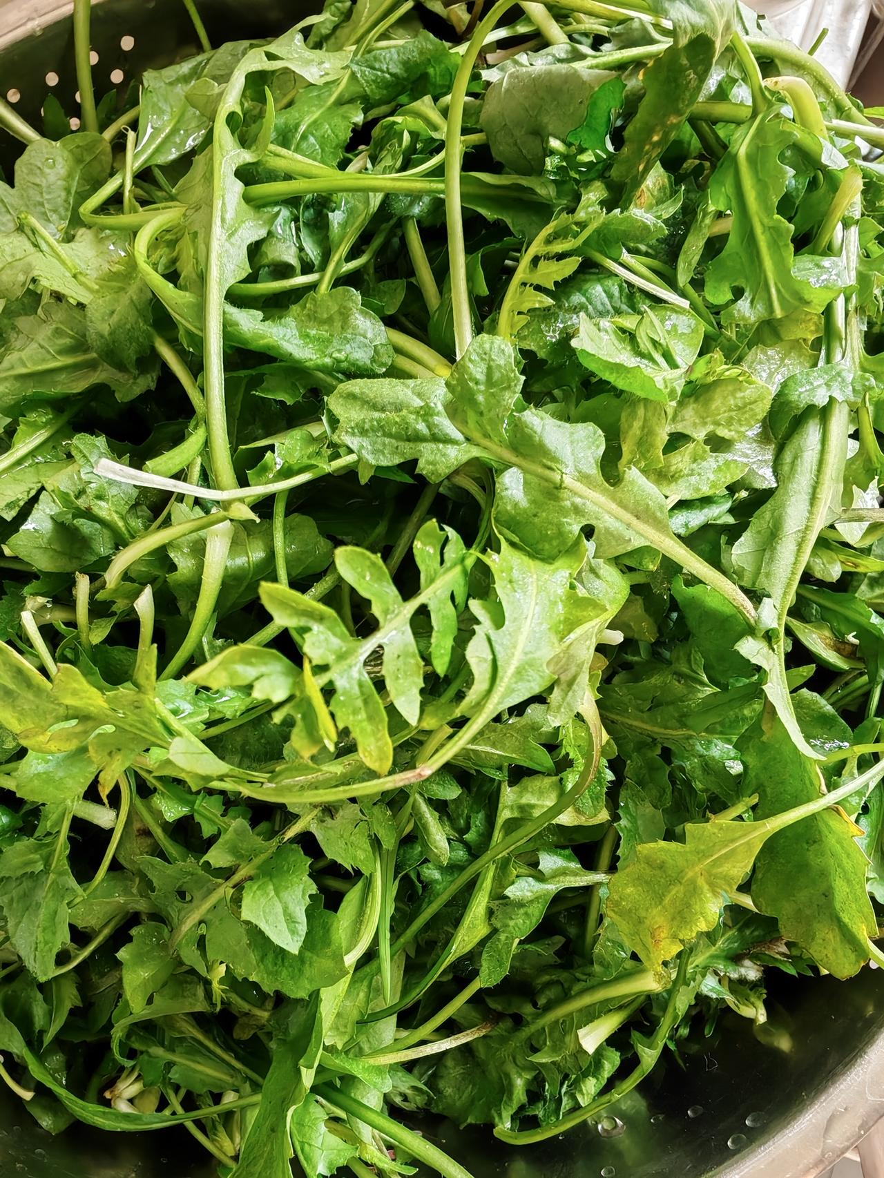 您知道图一是什么菜吗？

这是鲜嫩的纯绿色野菜，我们湖北这儿叫地菜，学名荠菜，有