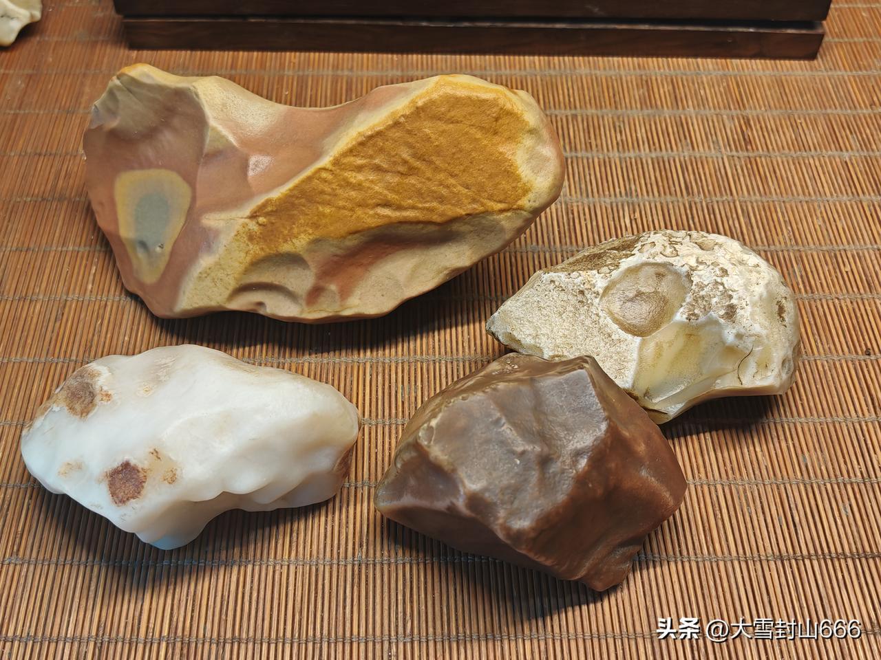 晚发情