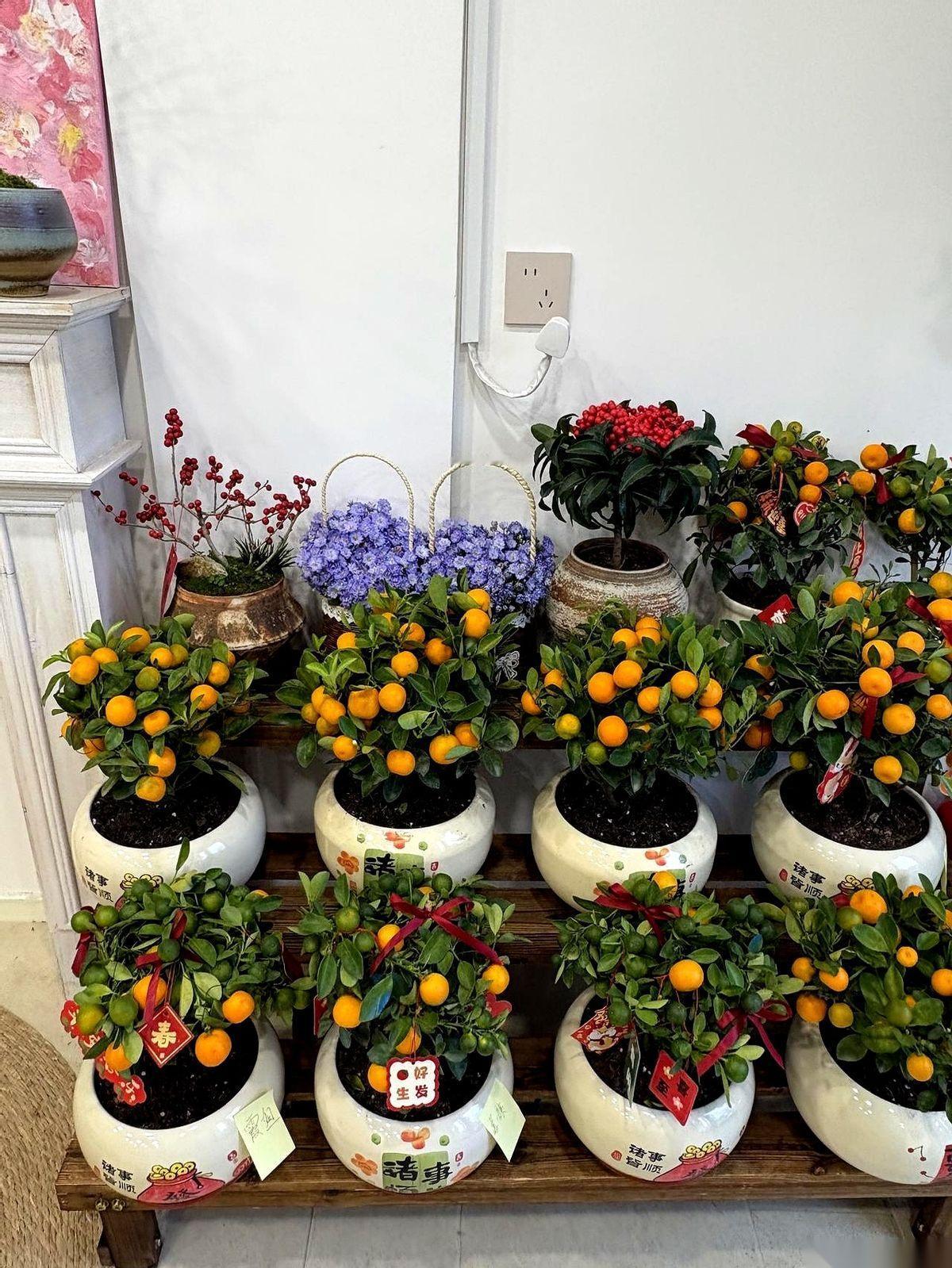 枪迷们炸锅了，骂声一片！“留力欧冠”，这四个字，像刀子一样扎进球迷的心窝子。
这