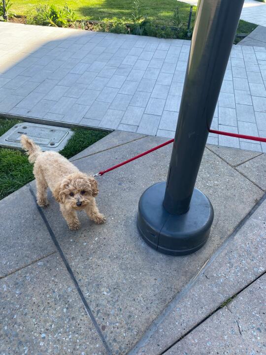 早上好，犟种除外