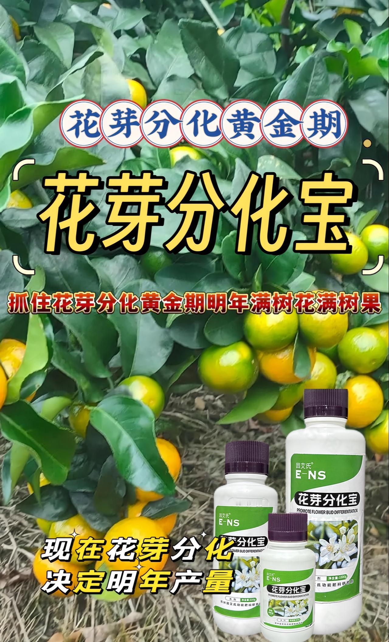 明年满树🌸，满树果！央视推广品牌大品牌更值得信任，花芽分化宝雌花增多，让花粉管