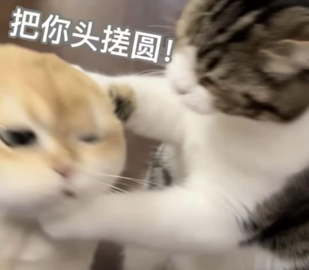 [奥特曼]小泸今日提醒：警惕“虚假录取通知书”诈骗，骗子伪造高校录取通知书，通过
