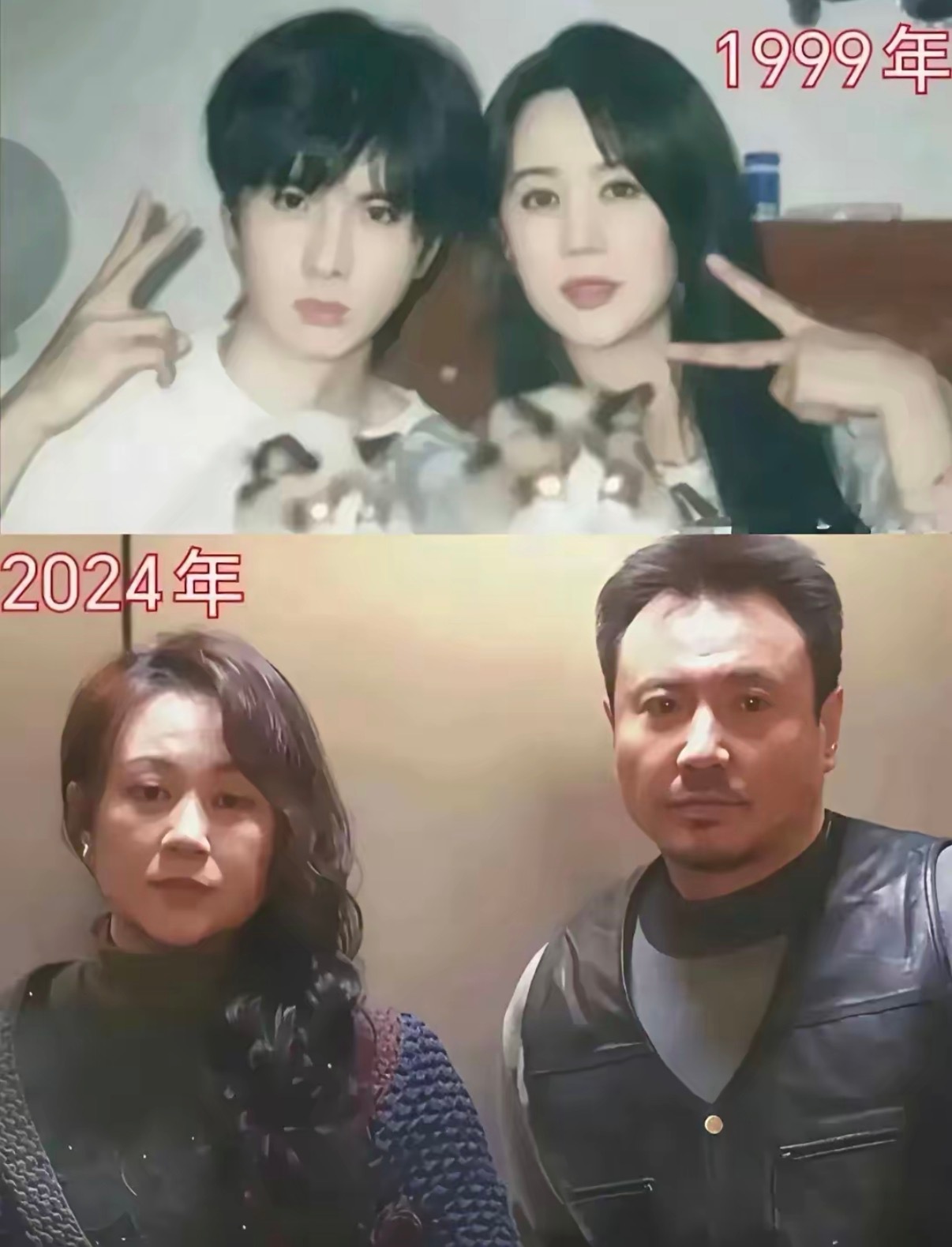 岁月是把猪饲料