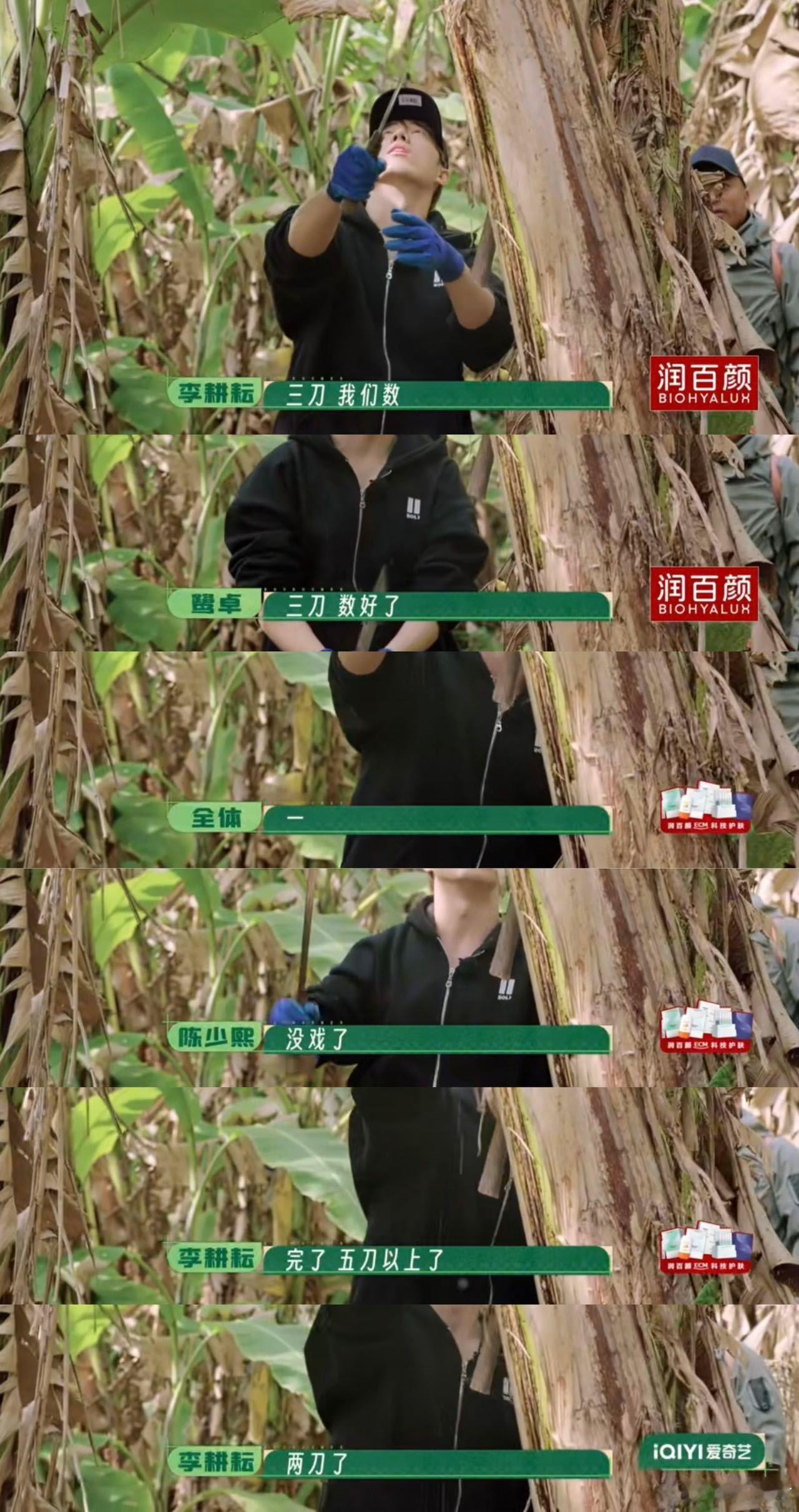 终于知道鹭卓为什么叫鹭十八了被鹭卓的憨憨性格可爱到了，明明第一刀就知道没伤到根本