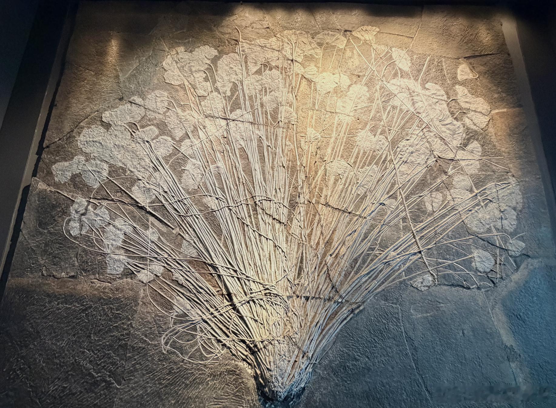 最快女护士张水华被医院处分 写完上一条，我突然想到一个细思极恐的事情。如果，我是