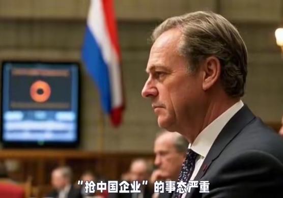 中国应不计成本，先搞死荷兰，否则还会有无数个荷兰，搞不死荷兰后患无穷，这是一个杀