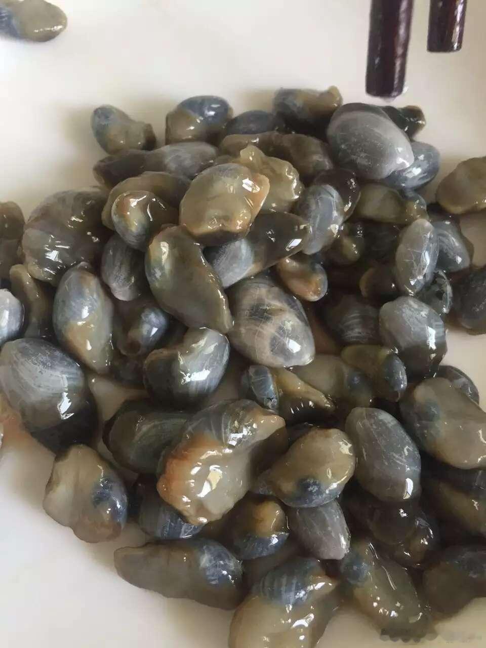 泥螺搞点吃吃吧嘿嘿家里自己腌制的