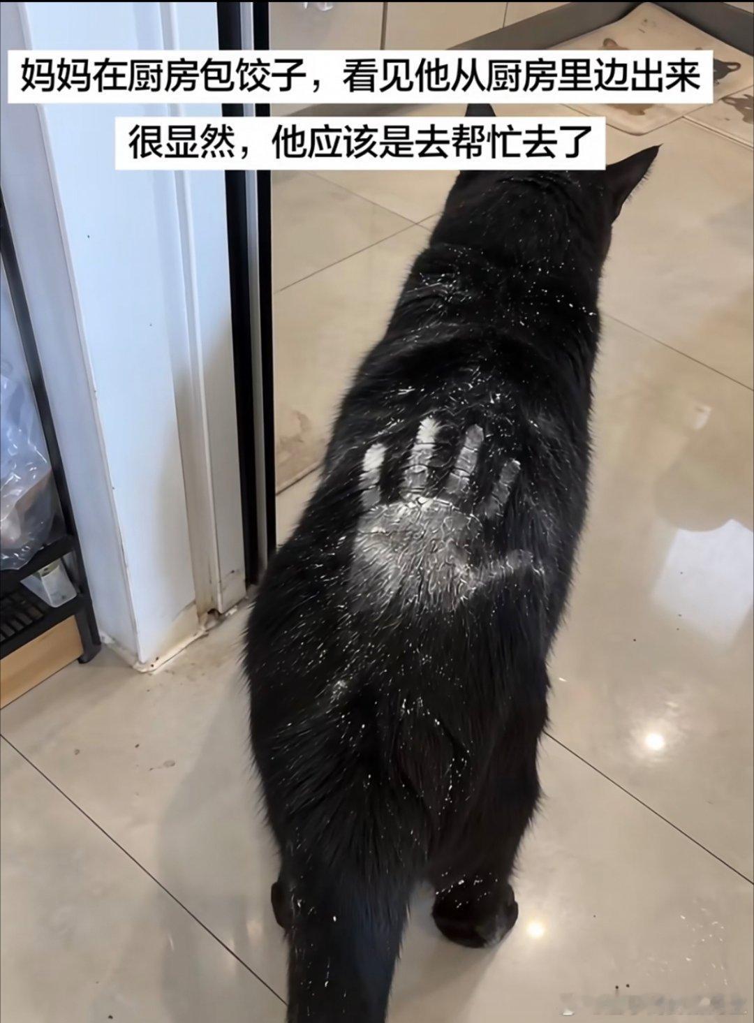 一套从天而降的掌法[doge] ​​​