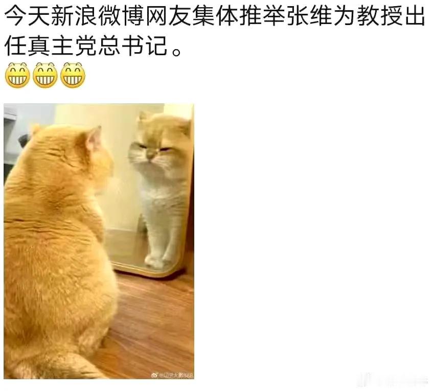 真主党面向全球招聘最高领导层，瘸子瞎子文盲都不限，网友一致推选张维为接任。

#