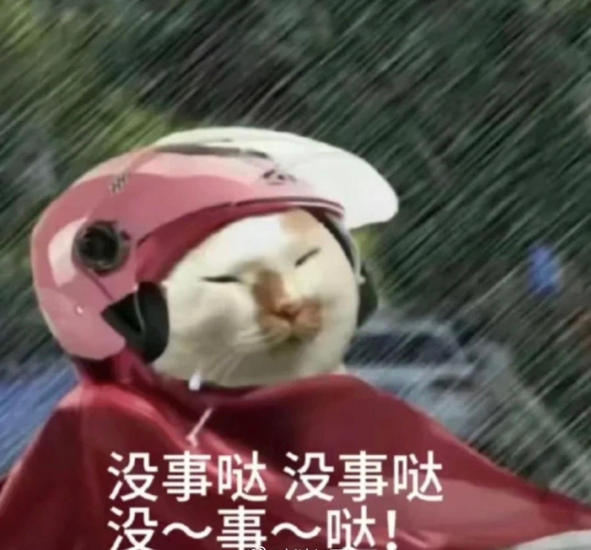南昌今天又双叒叕下雨啦，冰冷雨水在脸上糊乱的拍～春季温差大，大家要注意保暖哦，晚