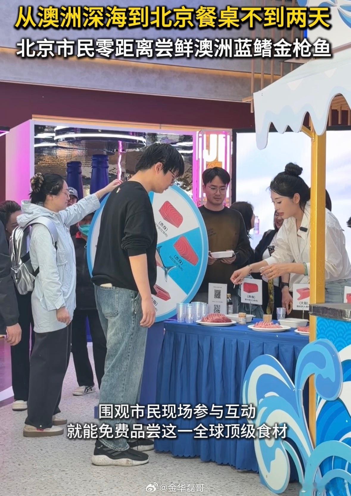 澳洲捕捞金枪鱼隔天登上北京餐桌这哪是金枪鱼，简直是跨洋奔赴的“深海刺客”！刚从澳