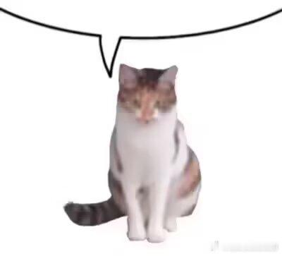 2071我才知道番茄和牛肉不能一起吃。。。我之前还经常吃番茄牛腩。因为番茄是红色