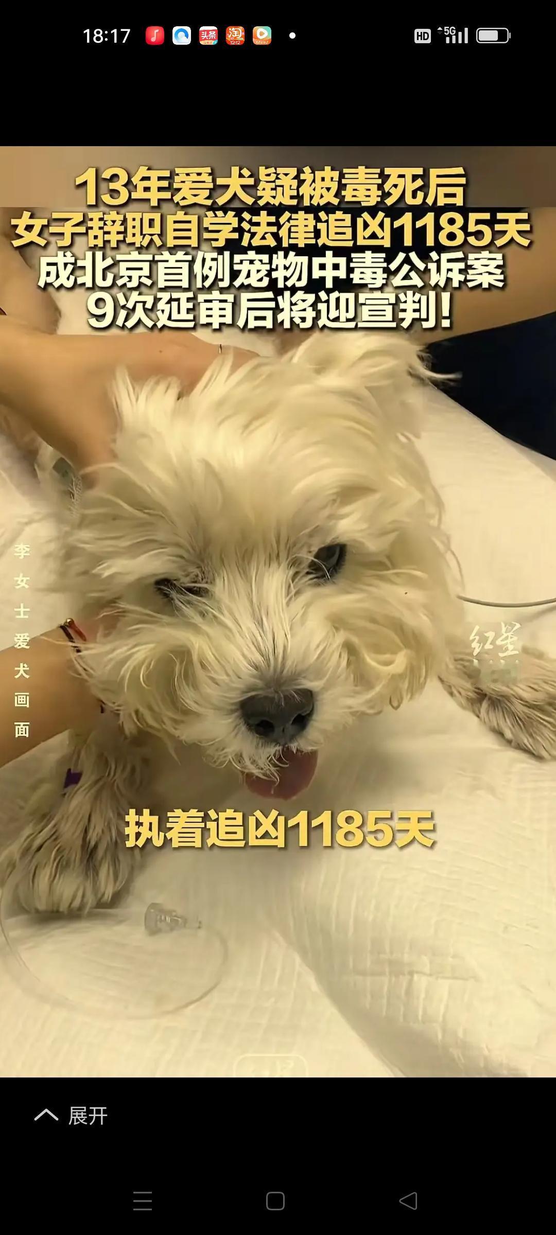 养了13年的爱犬被毒死后，女子辞职自学法律追凶1185天，成北京icon首例宠物